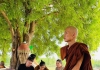 Phật sự Quốc Tế: Tăng đoàn Thabarwa tri ân cầu nguyện hồi hướng phước lành đến đạo hữu