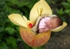 Phá thai: Một góc nhìn Phật giáo