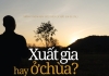 Xuất gia hay ở chùa?