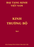 Kinh Trường Bộ - Tập II