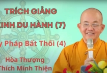 [Video] Trích giảng Kinh Du Hành (bài 7) - "Bảy Pháp Bất Thối (4)" - Hòa thượng Thích Minh Thiện