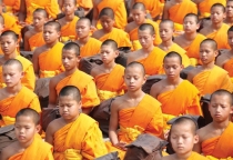 Cưỡi voi bắt châu chấu