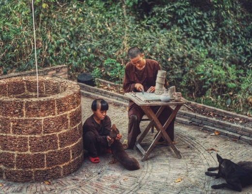 "Hồn đất Việt" trong những tác phẩm “Gốm chùa” 