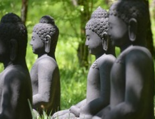 Để Chánh pháp trường tồn