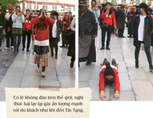 Ấn tượng nghi thức 'tam bộ ngũ thể nhập địa' ở Tây Tạng