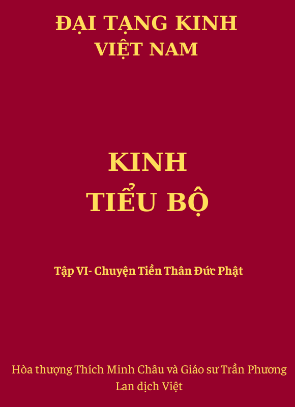 Kinh Tiểu Bộ - Tập VI - Chuyện Tiền Thân (số 264 - 395)