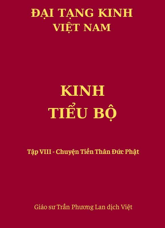 Kinh Tiểu Bộ - Tập VIII - Chuyện Tiền Thân Đức Phật (số 473 - 520)