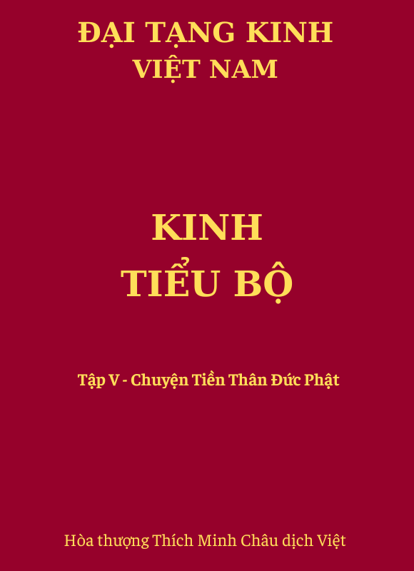 Kinh Tiểu Bộ - Tập V - Chuyện Tiền Thân (số 121 - 263)